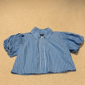 J. Crew Blue Striped Button Down Shirt
